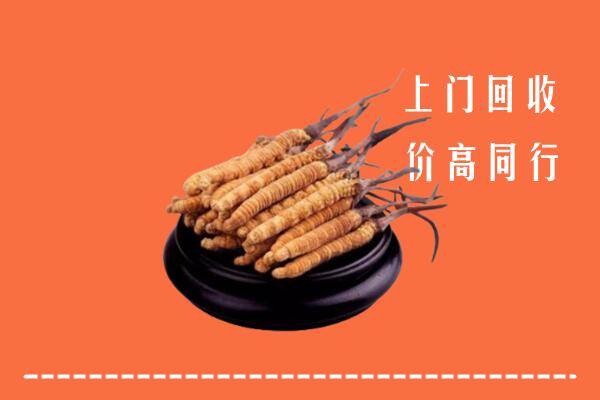 礼县回收散虫草