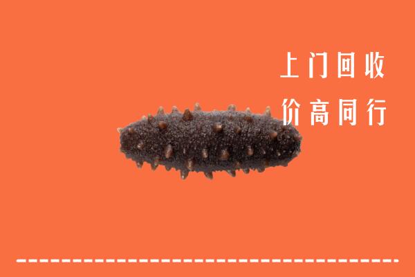 高价求购：礼县回收海参