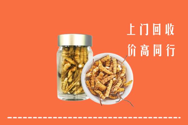 礼县回收冬虫夏草