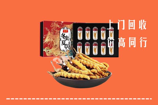 礼县回收虫草